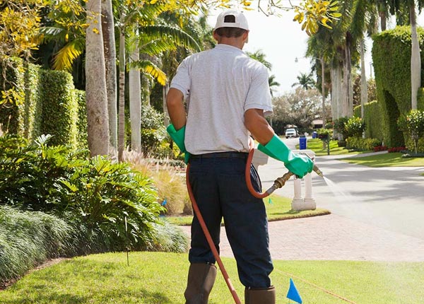 About Fredonia AZ Pest Control